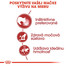 ROYAL CANIN Instinctive Jelly 85 g v želé