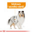 ROYAL CANIN Mini coat care 3 kg