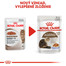 ROYAL CANIN Ageing +12 Jelly 12x85g kapsička pre staré mačky v želé