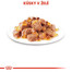 ROYAL CANIN Hair&Skin 85g 12 x 85g krmivo v omáčke pre dospelé mačky