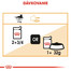 ROYAL CANIN Hair&Skin 85g 12 x 85g krmivo v omáčke pre dospelé mačky