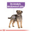 ROYAL CANIN Sterilised Dog Loaf 85g x12 kapsička s paštétou pre kastrované psy