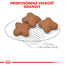 ROYAL CANIN Mini Adult 8+ 8kg granuly pre dospelé starnúce psy