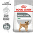 ROYAL CANIN Mini dental care 1 kg granuly pre psy znižujúce tvorbu zubného kameňa