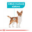 ROYAL CANIN Mini urinary care 3 kg granuly pre psy s obličkovými problémami.