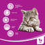 WHISKAS Adult hovädzie 1.4kg