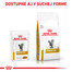 ROYAL CANIN Cat urinary moderate calorie 100g x12