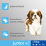 PERFECT FIT Junior (1+ rok) Pre malé rasy - Bohatý na kuracie mäso 5 x 825g