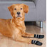 TRIXIE Protišmykové ponožky pre psov. XS–S. 2 szt.