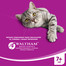 WHISKAsenior hydinu v želé 4x100g