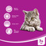 WHISKAsenior hydinu v želé 4x100g