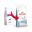 ROYAL CANIN Veterinary Health Nutrition Dog Skin Care Puppy Small Dog 4 kg