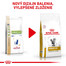 ROYAL CANIN Veterinary Diet Cat Urinary S/O Moderate Calorie 9 kg