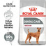 ROYAL CANIN Medium dental care 10 kg