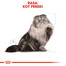 ROYAL CANIN Persian Adult 12x85 g