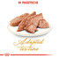 ROYAL CANIN Persian Adult 12x85 g
