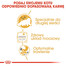 ROYAL CANIN Persian Adult 12x85 g