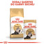 ROYAL CANIN Persian Adult 12x85 g