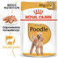 ROYAL CANIN Poodle Adult in Sobe maškrta v omáčke pre dospelého psa rasy pudel 85 g