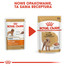 ROYAL CANIN Poodle Adult in Sobe maškrta v omáčke pre dospelého psa rasy pudel 85 g