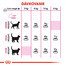 ROYAL CANIN Protein Exigent 4 kg granule pre maškrtné mačky
