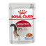 ROYAL CANIN Instinctive v želé 12x85g