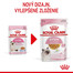 ROYAL CANIN Kitten Instinctive Jelly 12 x 85g kapsička pre mačiatka v želé