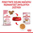 ROYAL CANIN Kitten Instinctive Jelly 12 x 85g kapsička pre mačiatka v želé