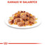 ROYAL CANIN Ultra Light Jelly 85g kapsička pre mačky s nadváhou v želé