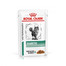 ROYAL CANIN Veterinary Health Nutrition Cat Diabetic Pouch 12x85g