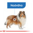 ROYAL CANIN Maxi Light Weight Care 3 kg diétne granule pre veľké psy