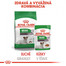 ROYAL CANIN Mini ageing  12+ 85g x12 kapsička pre staré malé psy