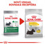 ROYAL CANIN Mini dermacomfort 3 kg granule pre malých psov s problémami s kožou