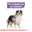ROYAL CANIN Medium Sterilised 10 kg granule pre kastrované stredné psy