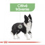 ROYAL CANIN Medium Digestive Care 10 kg