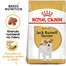 ROYAL CANIN Jack russell terrier adult 3 kg