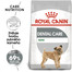 ROYAL CANIN Mini dental care 3 kg granuly pre psy znižujúce tvorbu zubného kameňa