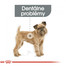 ROYAL CANIN Mini dental care 3 kg granuly pre psy znižujúce tvorbu zubného kameňa
