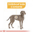 ROYAL CANIN Maxi Dermacomfort 10 kg granule pre veľké psy s problémami s kožou