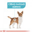 ROYAL CANIN Mini urinary care 8 kg granuly pre psy s obličkovými problémami.