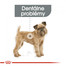 ROYAL CANIN Mini dental care 8 kg granuly pre psy znižujúce tvorbu zubného kameňa