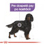 ROYAL CANIN Maxi Sterilised 3 kg granule pre kastrované veľké psy