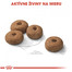 ROYAL CANIN Maxi Sterilised 3 kg granule pre kastrované veľké psy