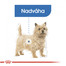 ROYAL CANIN Mini light weight care 1 kg