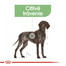ROYAL CANIN Maxi Digestive Care 3 kg granule pre dospelých psov veľkých plemien s citlivým zažívacím traktom