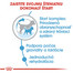 ROYAL CANIN Mini starter mother & babydog 3 kg granule pre brezivé alebo dojčiace suky a šteňatá
