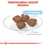 ROYAL CANIN Mini starter mother & babydog 3 kg granule pre brezivé alebo dojčiace suky a šteňatá