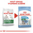 ROYAL CANIN Mini starter mother & babydog 3 kg granule pre brezivé alebo dojčiace suky a šteňatá