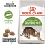 ROYAL CANIN Outdoor 400g granule pre mačky s častým pohybom vonku