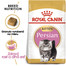 ROYAL CANIN Kitten persian 4 kg suché krmivo pre mačiatka do 12 mesiacov, perzská mačka
